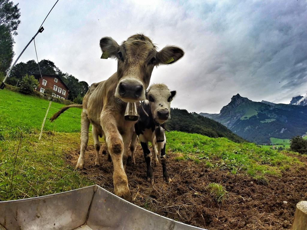 Hotel Engelberg "Mein Trail Hotel" Dış mekan fotoğraf